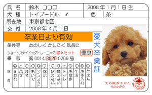 愛犬のしつけ卒業証