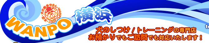 ���̂����A�g���[�j���O�̐��X WANPO